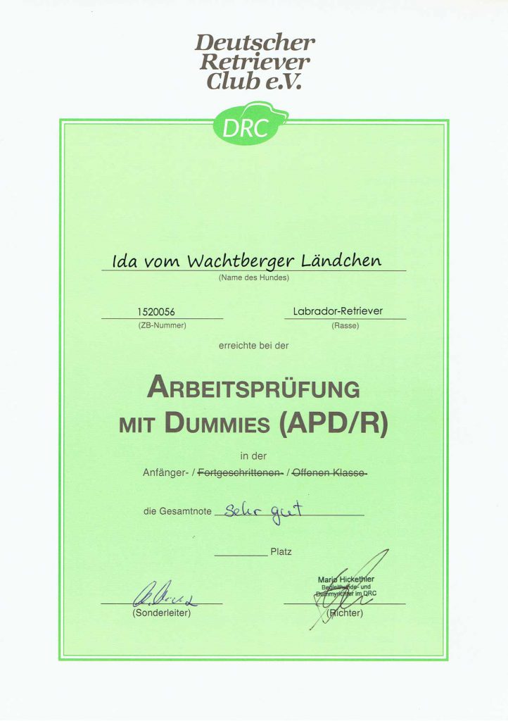 Ida Besteht Dummy Prüfung A Marks And Blinds