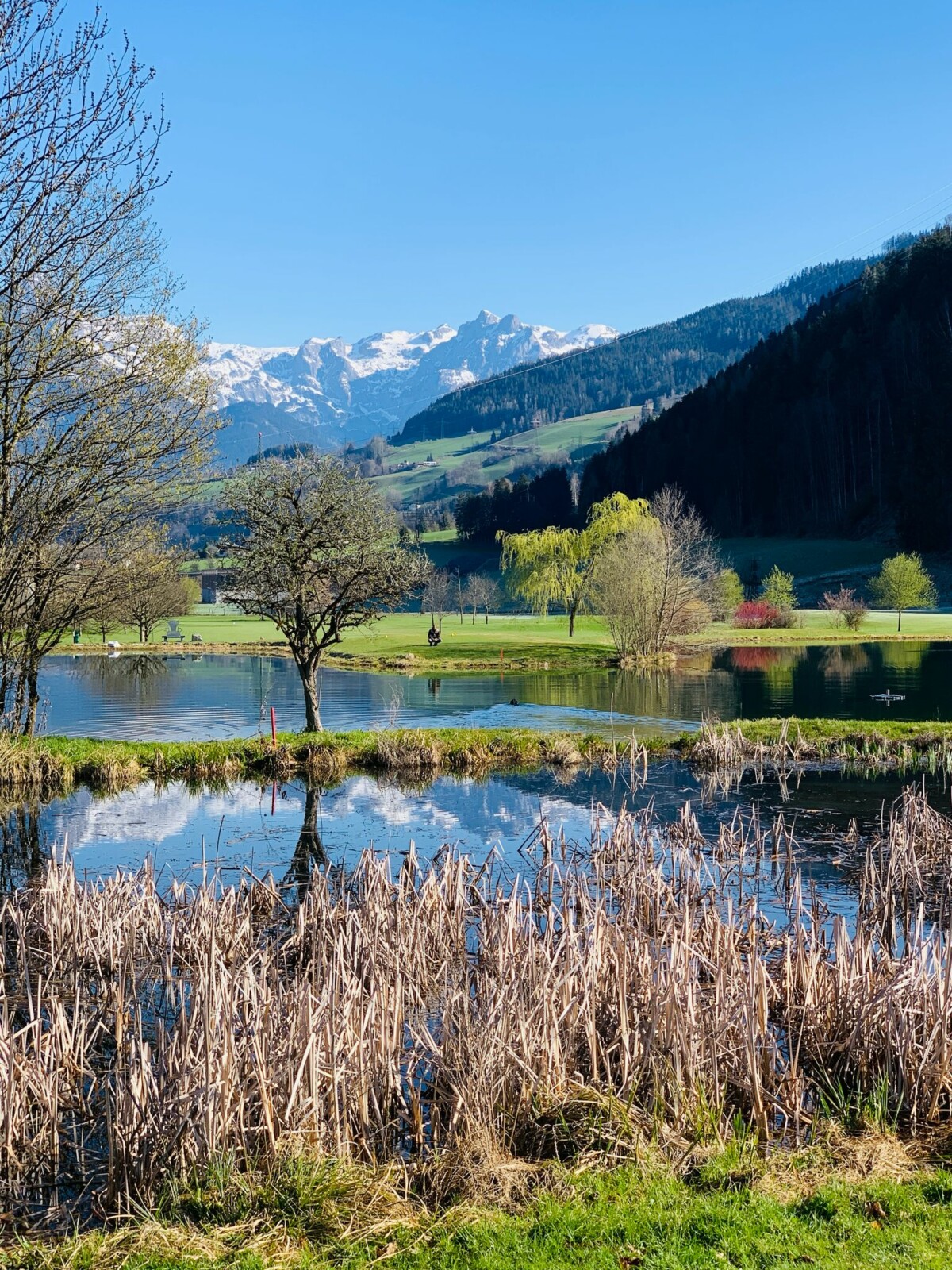 ÜberzweiTeiche