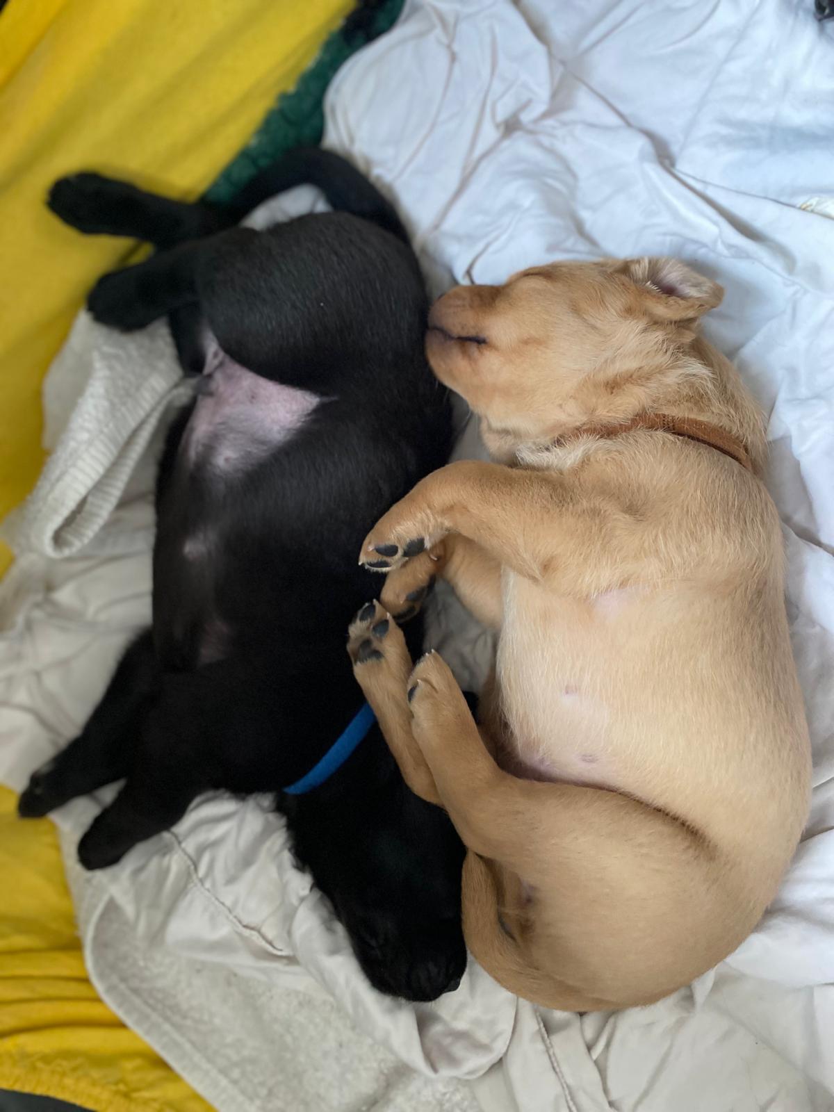 WhatsApp Image 2026 03 28 At 17.25.56