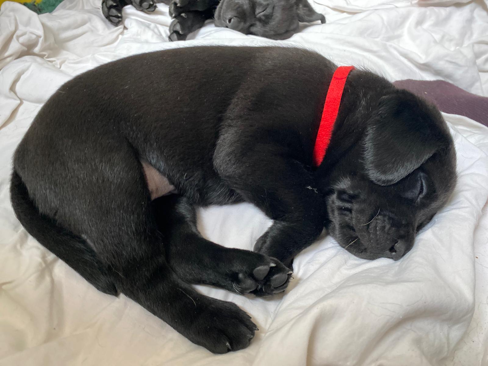 WhatsApp Image 2026 03 28 At 17.25.58