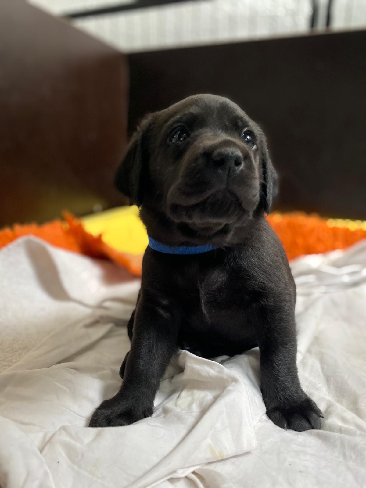 WhatsApp Image 2026 03 28 At 17.25.58(1)