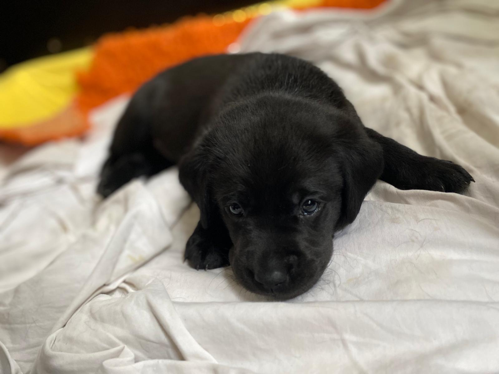 WhatsApp Image 2026 03 28 At 17.25.59