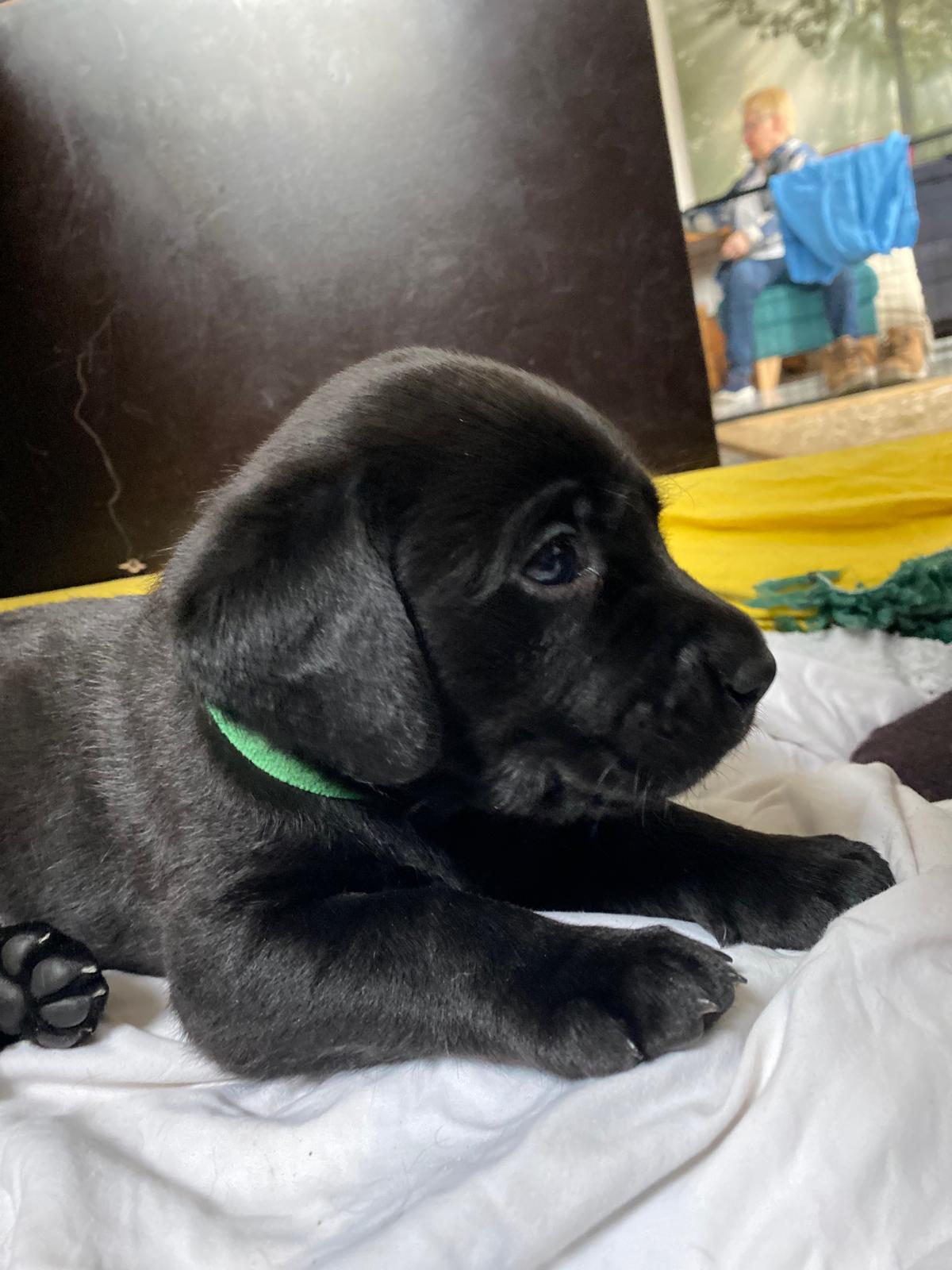 WhatsApp Image 2026 03 28 At 17.25.59(1)