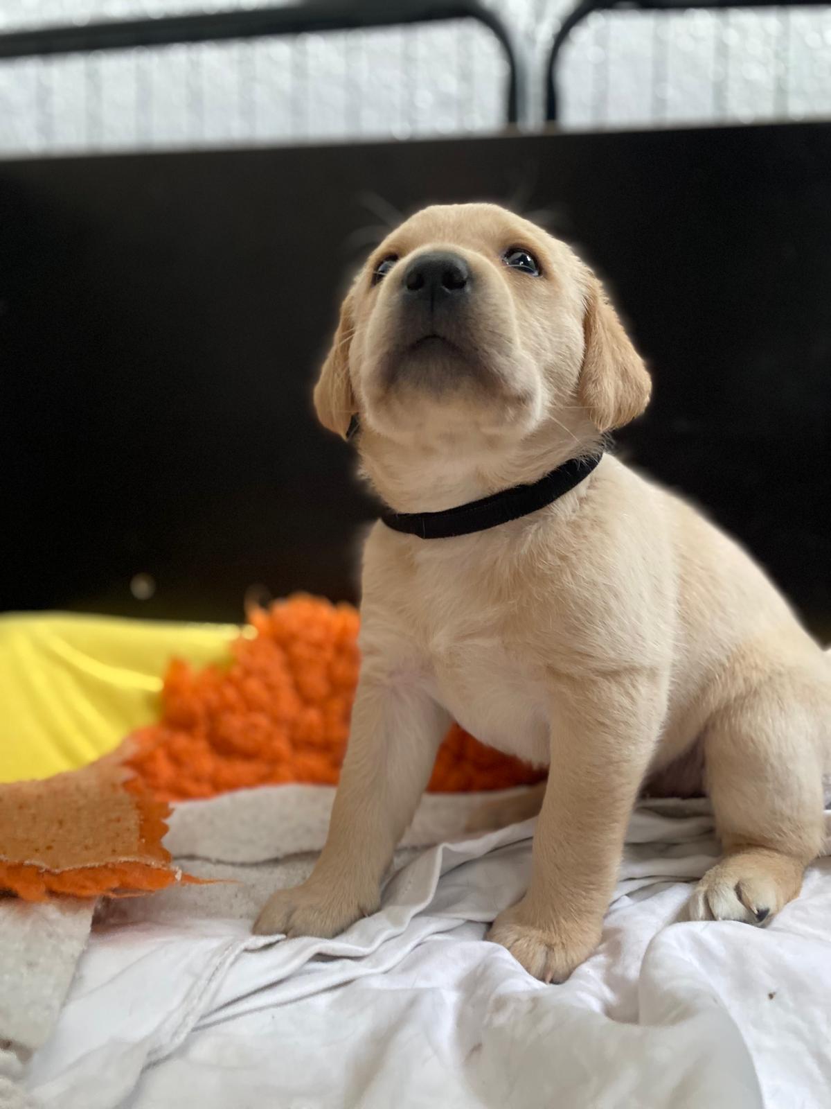 WhatsApp Image 2026 03 28 At 17.26.00