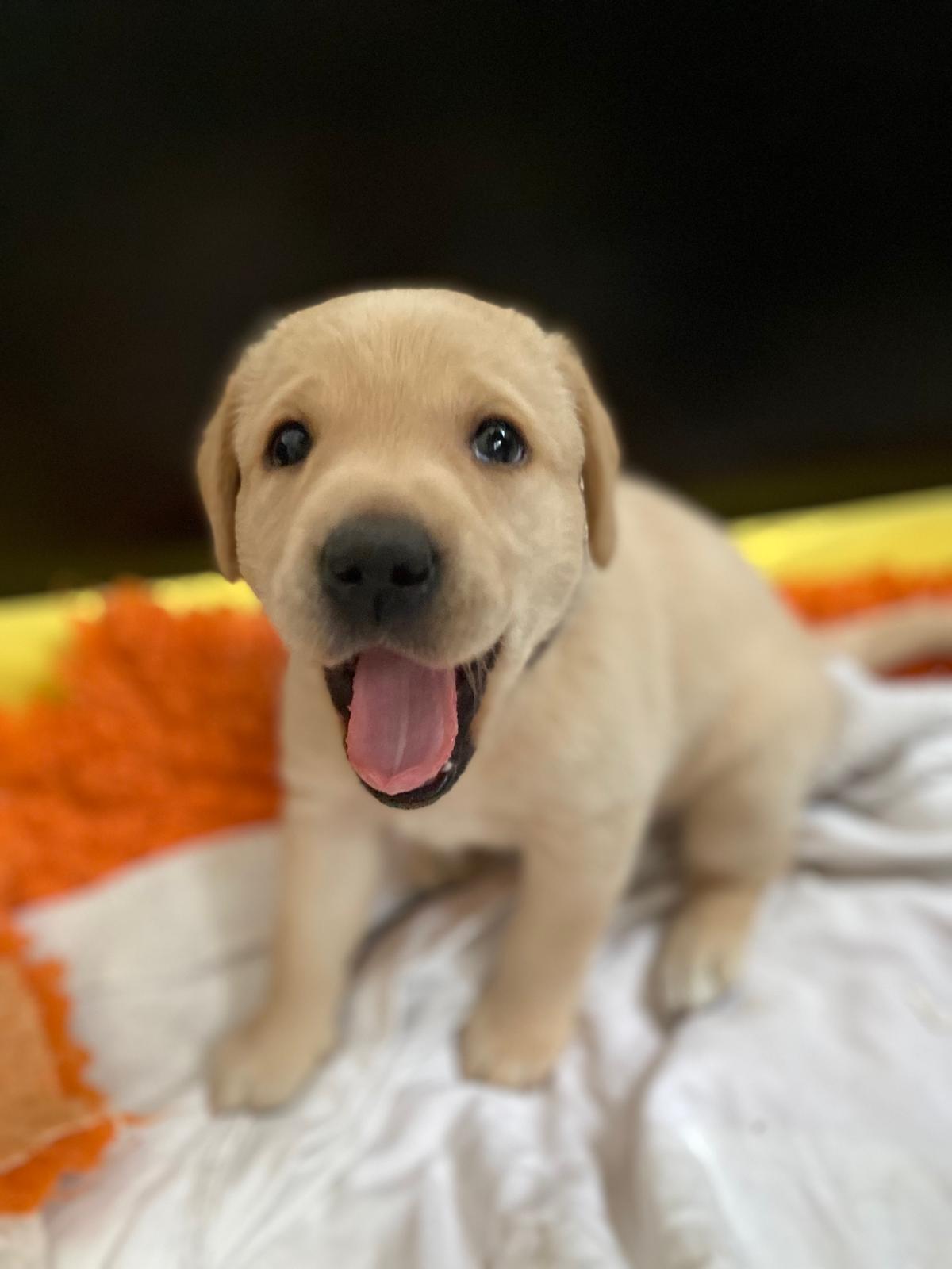 WhatsApp Image 2026 03 28 At 17.26.00(1)