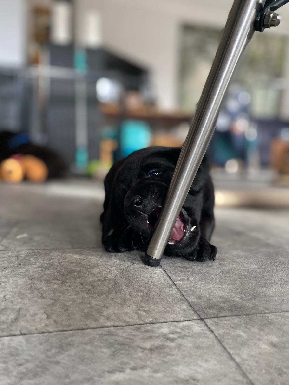 WhatsApp Image 2026 03 28 At 17.26.01