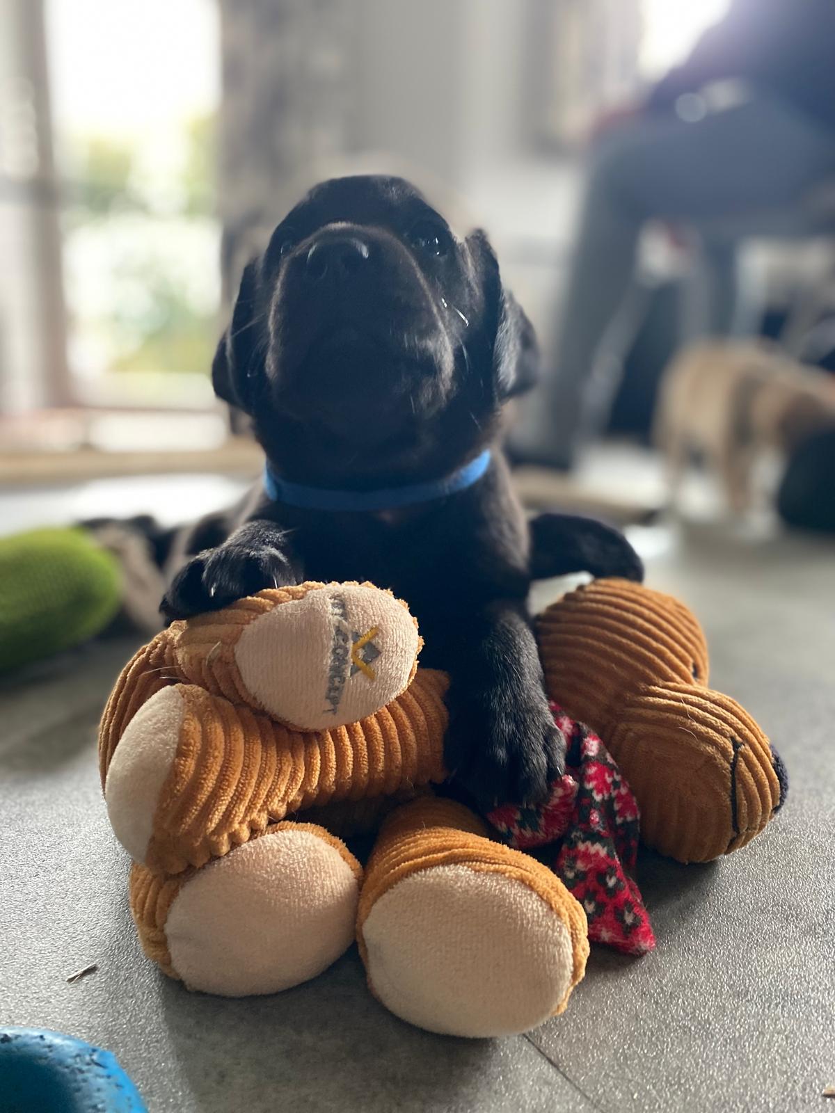 WhatsApp Image 2026 03 28 At 17.26.02