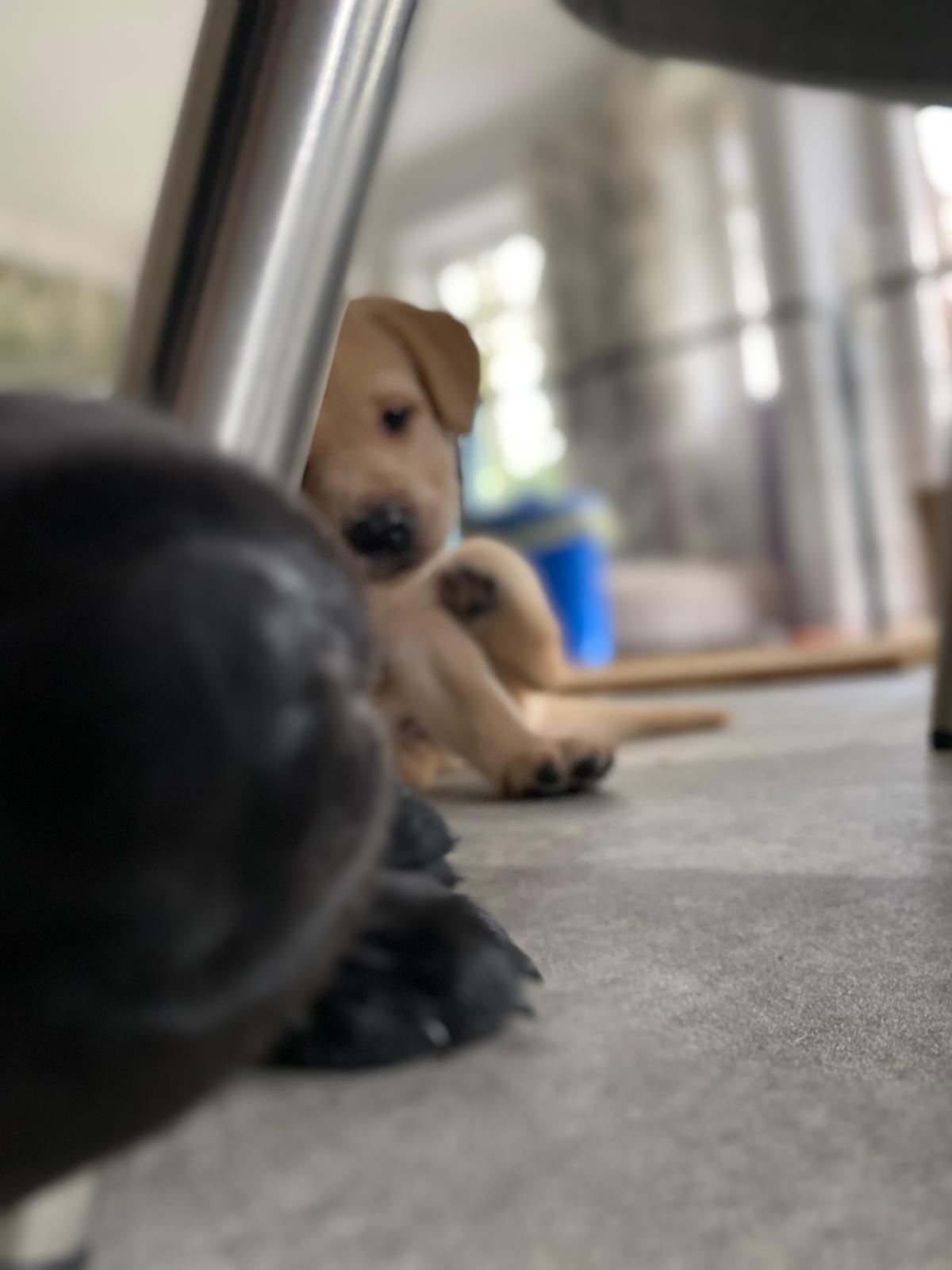 WhatsApp Image 2026 03 28 At 17.26.03