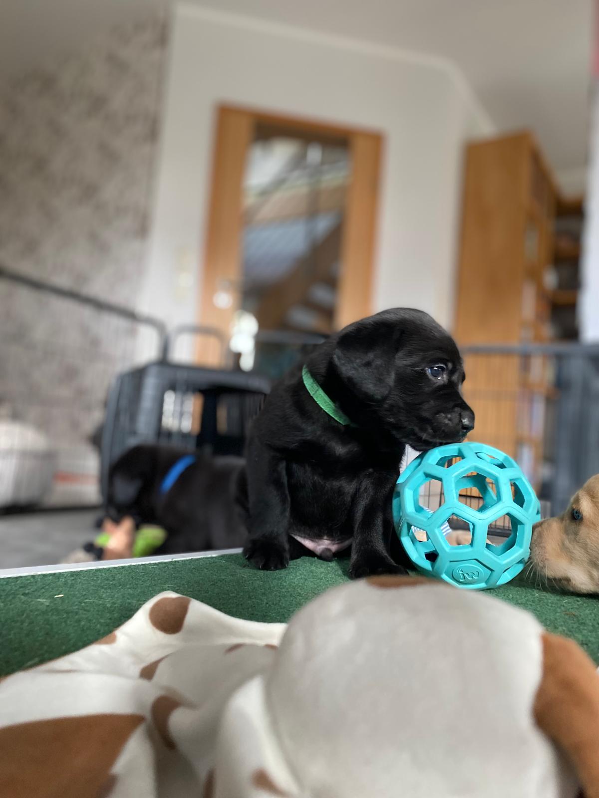 WhatsApp Image 2026 03 28 At 17.26.03(1)