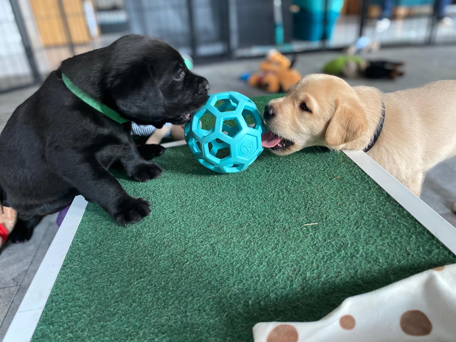 WhatsApp Image 2026 03 28 At 17.26.03(2)