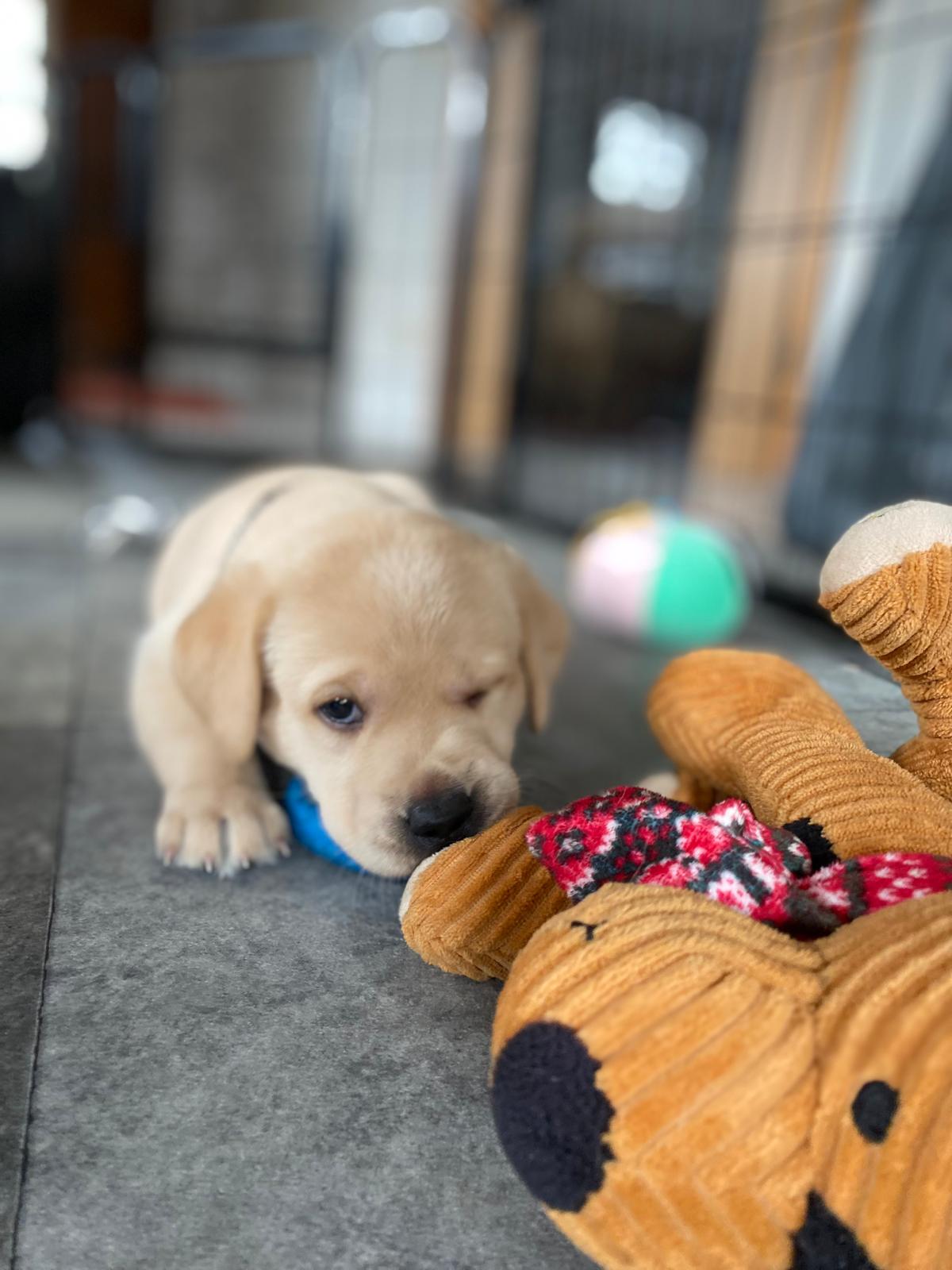 WhatsApp Image 2026 03 28 At 17.26.04