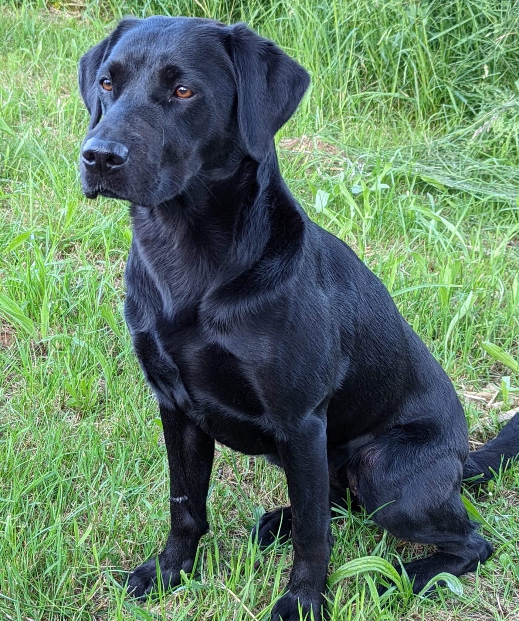 Cinna besteht ersten Workingtest in der F Marks And Blinds